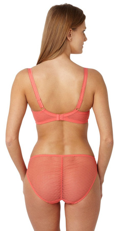 Panache Fontaine Coral Figi