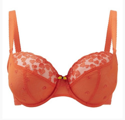 Panache Cleo Kali Burnt Orange Biustonosz